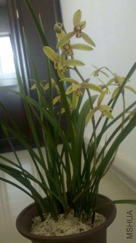 2013-06-20_11-25-35_96.jpg