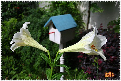 ��Ƭ 024_����.jpg