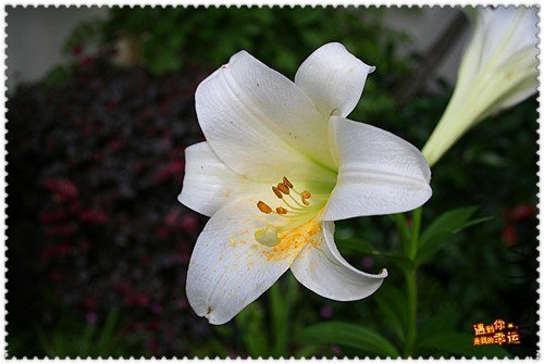 ��Ƭ 027_����.jpg