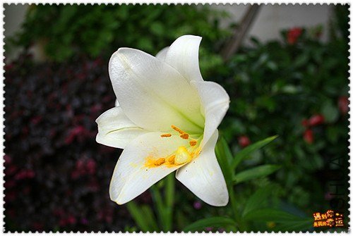 ��Ƭ 029_����.jpg