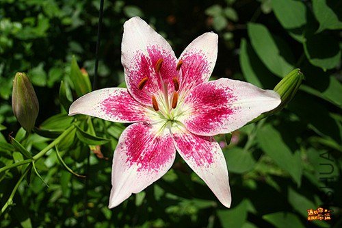 ��Ƭ 014_����.jpg