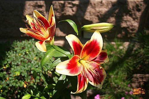 ��Ƭ 001_����.jpg