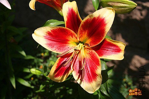 ��Ƭ 003_����.jpg