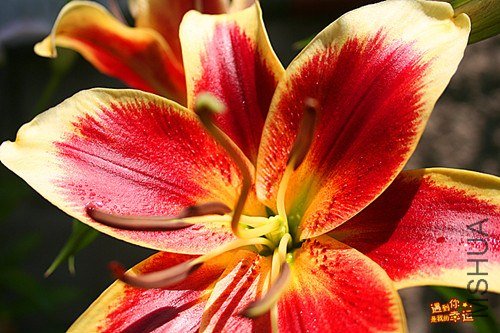 ��Ƭ 006_����.jpg