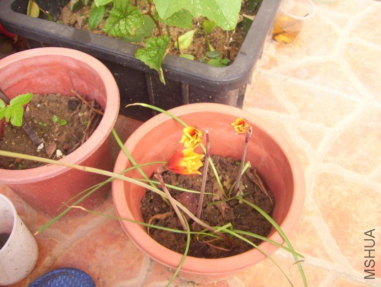100_0491.JPG