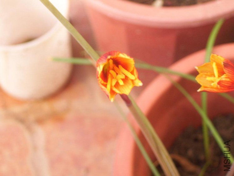 100_0492.JPG