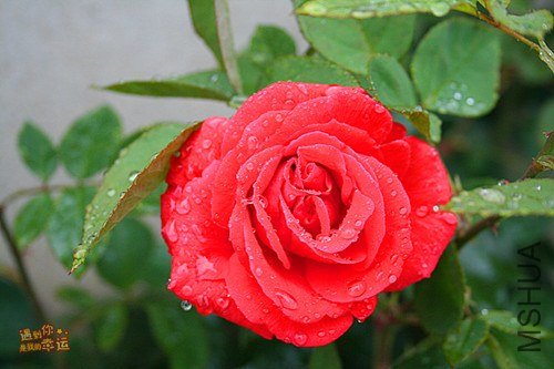 ��Ƭ 063_����.jpg