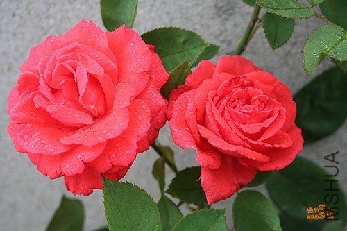 ��Ƭ 064_����.jpg