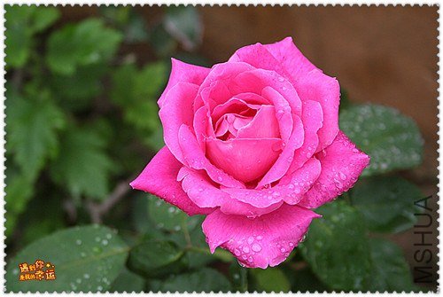 ��Ƭ 183_����.jpg