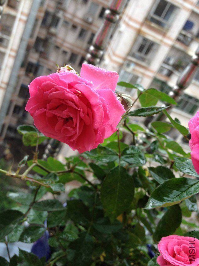 �յ��ң����ǲ�����