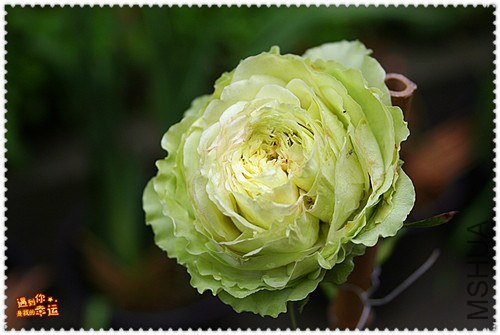 ��Ƭ 178_����.jpg