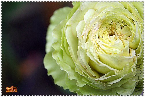 ��Ƭ 180_����.jpg