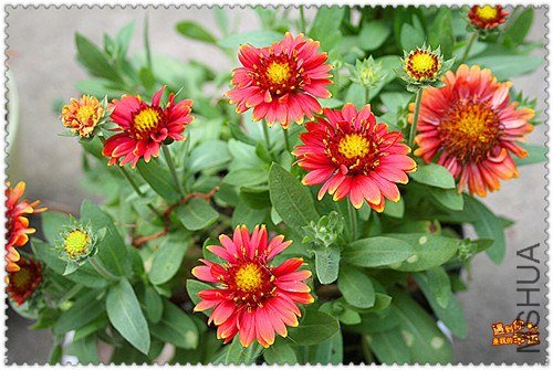 ��Ƭ 184_����.jpg