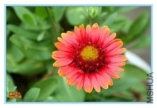 ��Ƭ 185_����.jpg