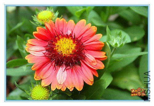 ��Ƭ 186_����.jpg