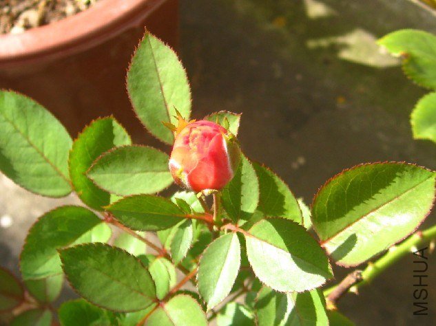 �ڶ�������