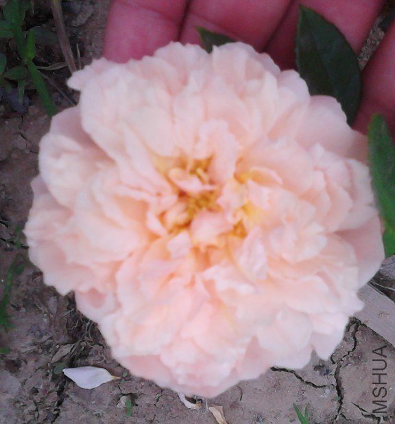 �˼�����