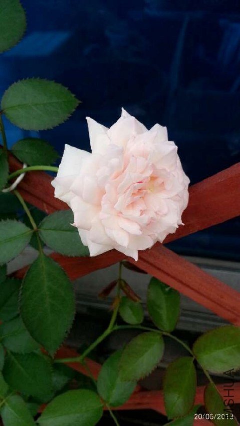 QQͼƬ20130621132814.jpg