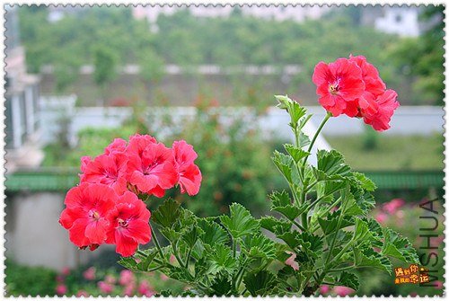 ��Ƭ 150_����.jpg