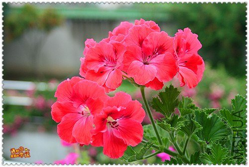 ��Ƭ 153_����.jpg