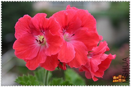 ��Ƭ 154_����.jpg