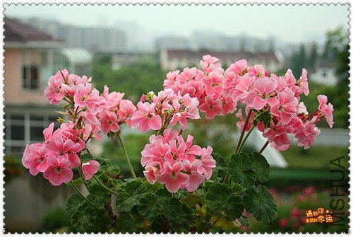 ��Ƭ 144_����.jpg