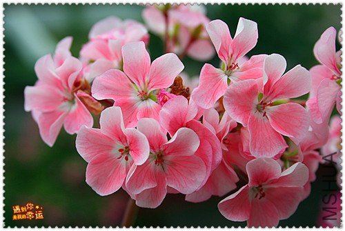 ��Ƭ 147_����.jpg