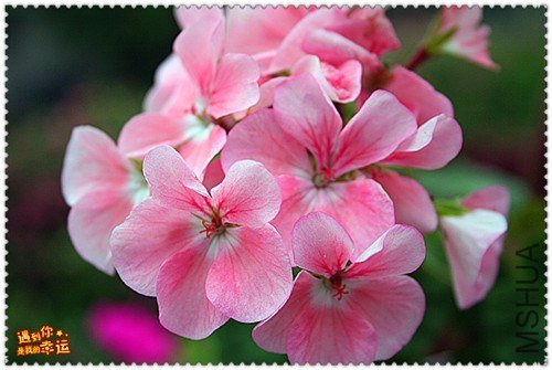 ��Ƭ 148_����.jpg