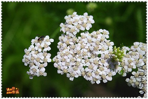 ��Ƭ 015_����.jpg