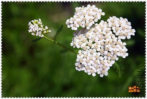 ��Ƭ 017_����.jpg