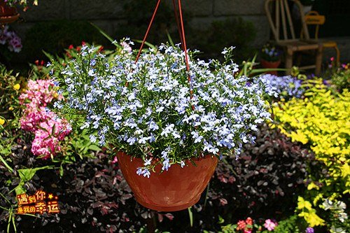 ��Ƭ 215_����.jpg