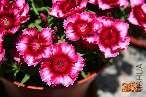 ��Ƭ 238_����.jpg