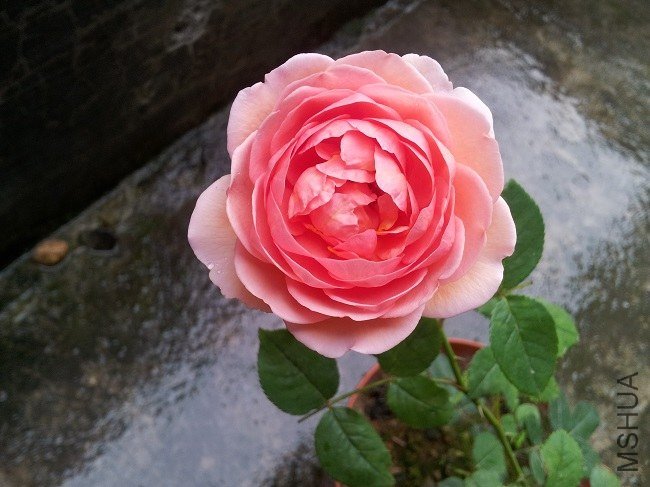 20130614_075458.jpg