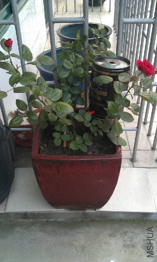 QQͼƬ20130621191627.jpg