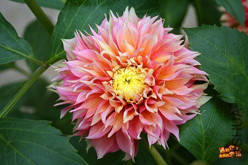 ��Ƭ 084_����.jpg