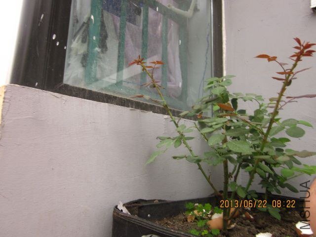 �� ɢ�� 029_1.jpg