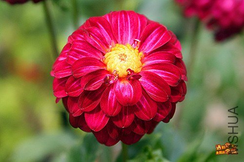 ��Ƭ 26b_����.jpg