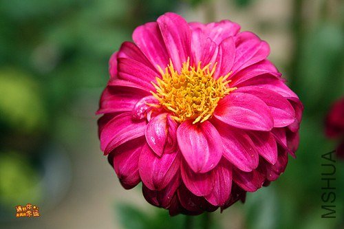 ��Ƭ 26c_����.jpg