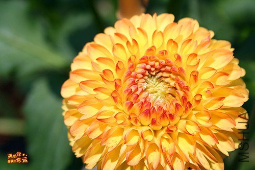 ��Ƭ 021_����.jpg