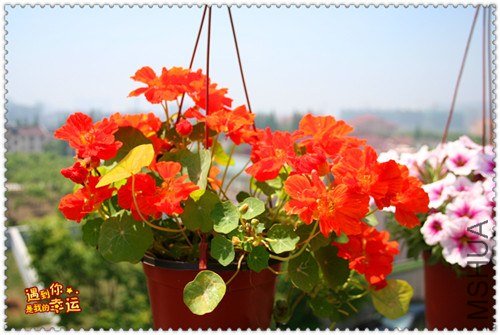 ��Ƭ 092_����.jpg