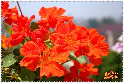 ��Ƭ 094_����.jpg