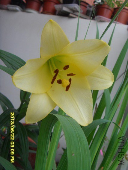 QQ��ͼ20130622180706.jpg