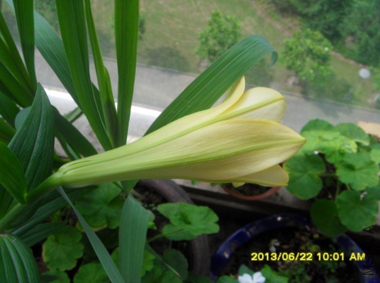 QQ��ͼ20130622180657.jpg