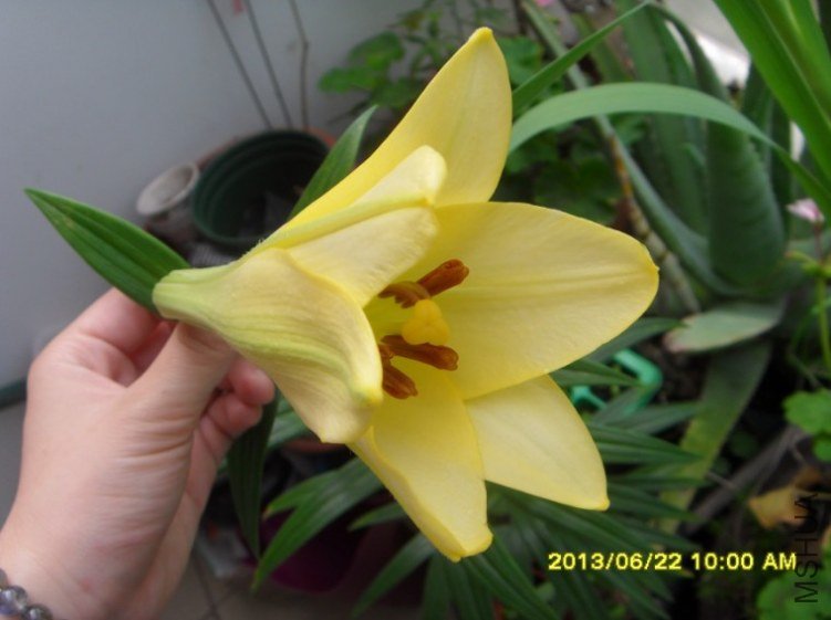 QQ��ͼ20130622180648.jpg