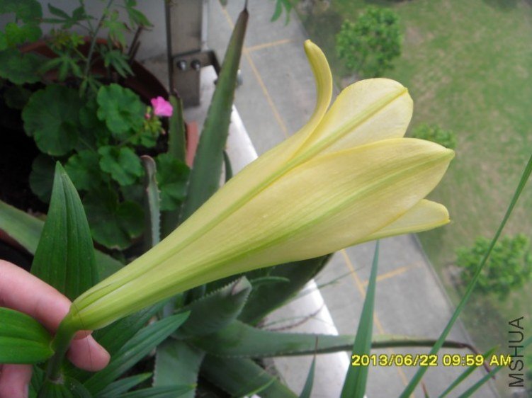QQ��ͼ20130622180639.jpg