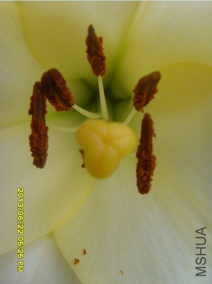 QQ��ͼ20130622180759.jpg