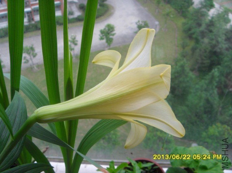 QQ��ͼ20130622180725.jpg