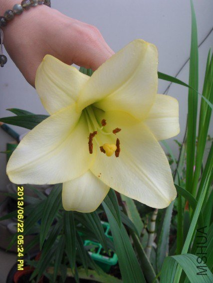 QQ��ͼ20130622180741.jpg