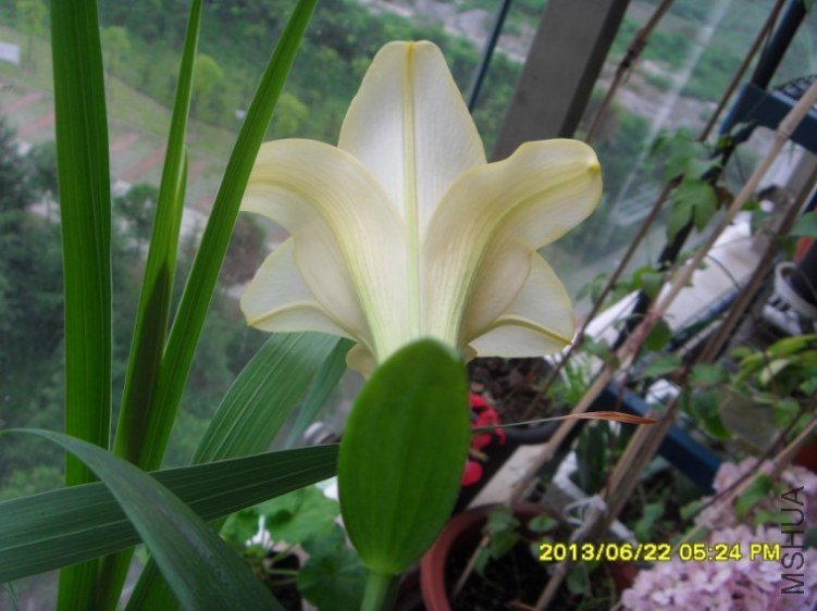 QQ��ͼ20130622180717.jpg