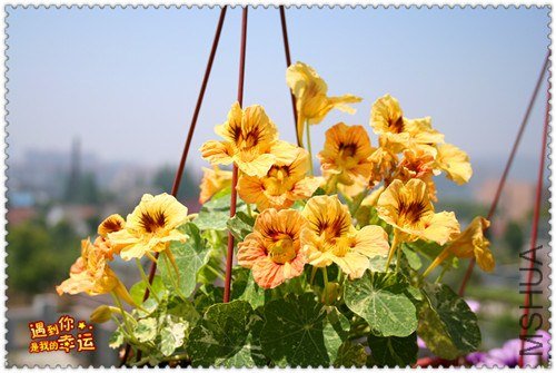 ��Ƭ 095_����.jpg